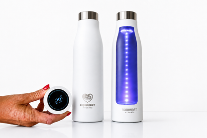 UV Self-Cleaning Water Bottle 750ml | Smart Stainless Steel Insulated Bottle with Temperature Display | AquaHart Hydrate