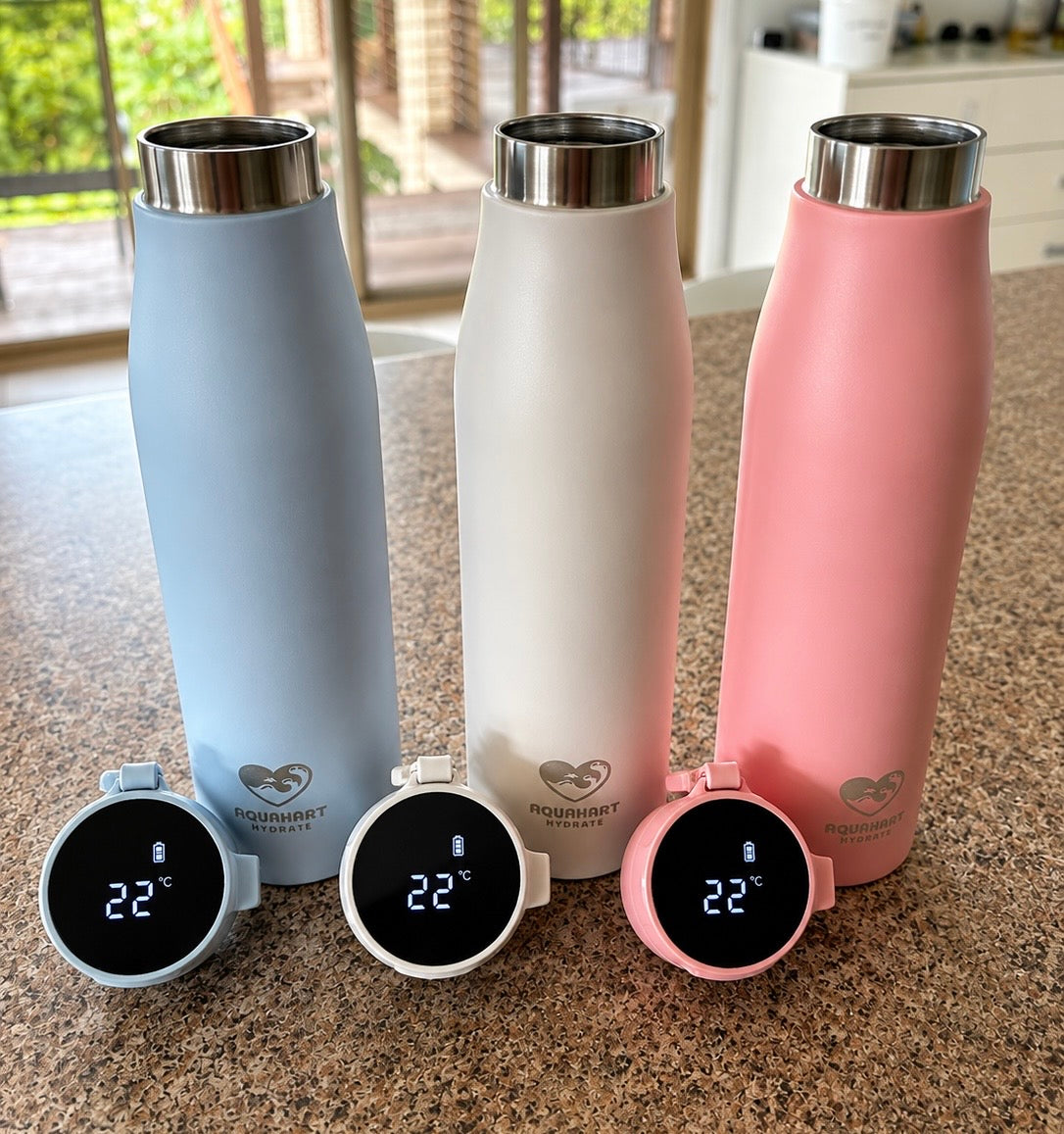 🔥 UV Self-Cleaning Water Bottle – Pro (NEW)