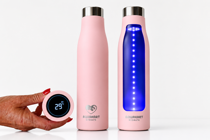 UV Self-Cleaning Water Bottle 750ml | Smart Stainless Steel Insulated Bottle with Temperature Display | AquaHart Hydrate